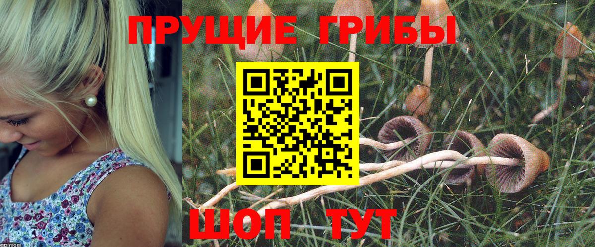 Михайловск  Псилоцибиновые грибы ЛСД  Галлюциногенные грибы мицелий  Вход с VPN 